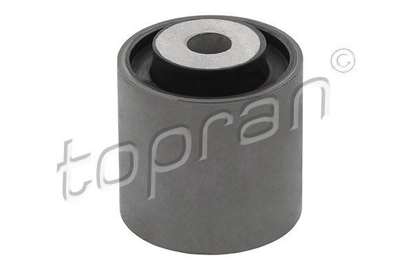 TOPRAN 401 684 Supporto, Braccio oscillante