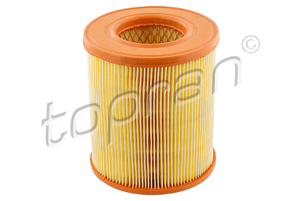MANN-FILTER C 2519 Luftfilter