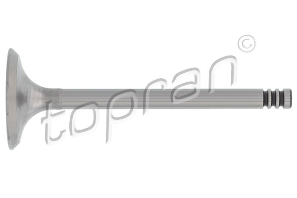 TOPRAN 100 614 Einlassventil