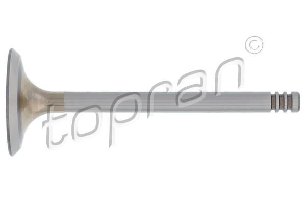 TOPRAN 100 613 Einlassventil