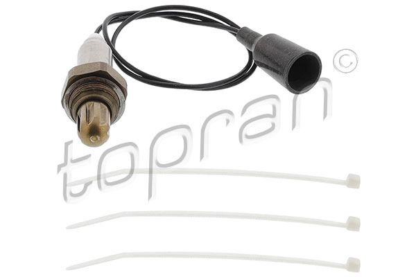 Oxygen Sensor