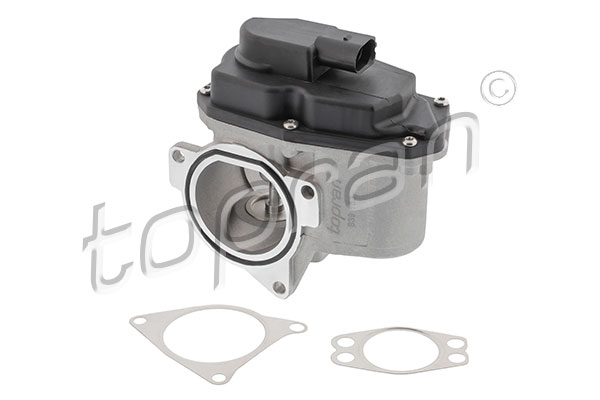 EGR Valve