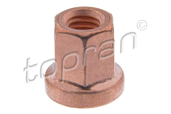 Mutter, Abgaskrümmer