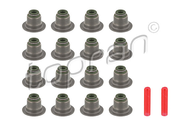 Seal Set, valve stem