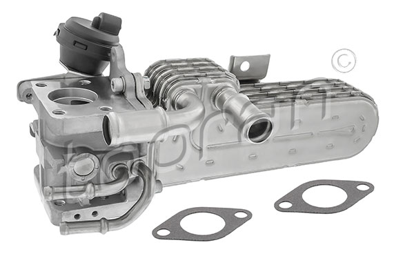 Cooler, exhaust gas recirculation