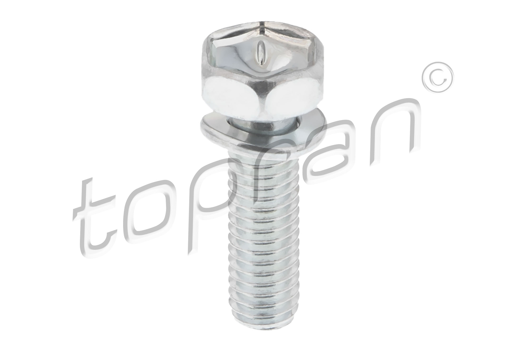 TOPRAN 120 976 Screw