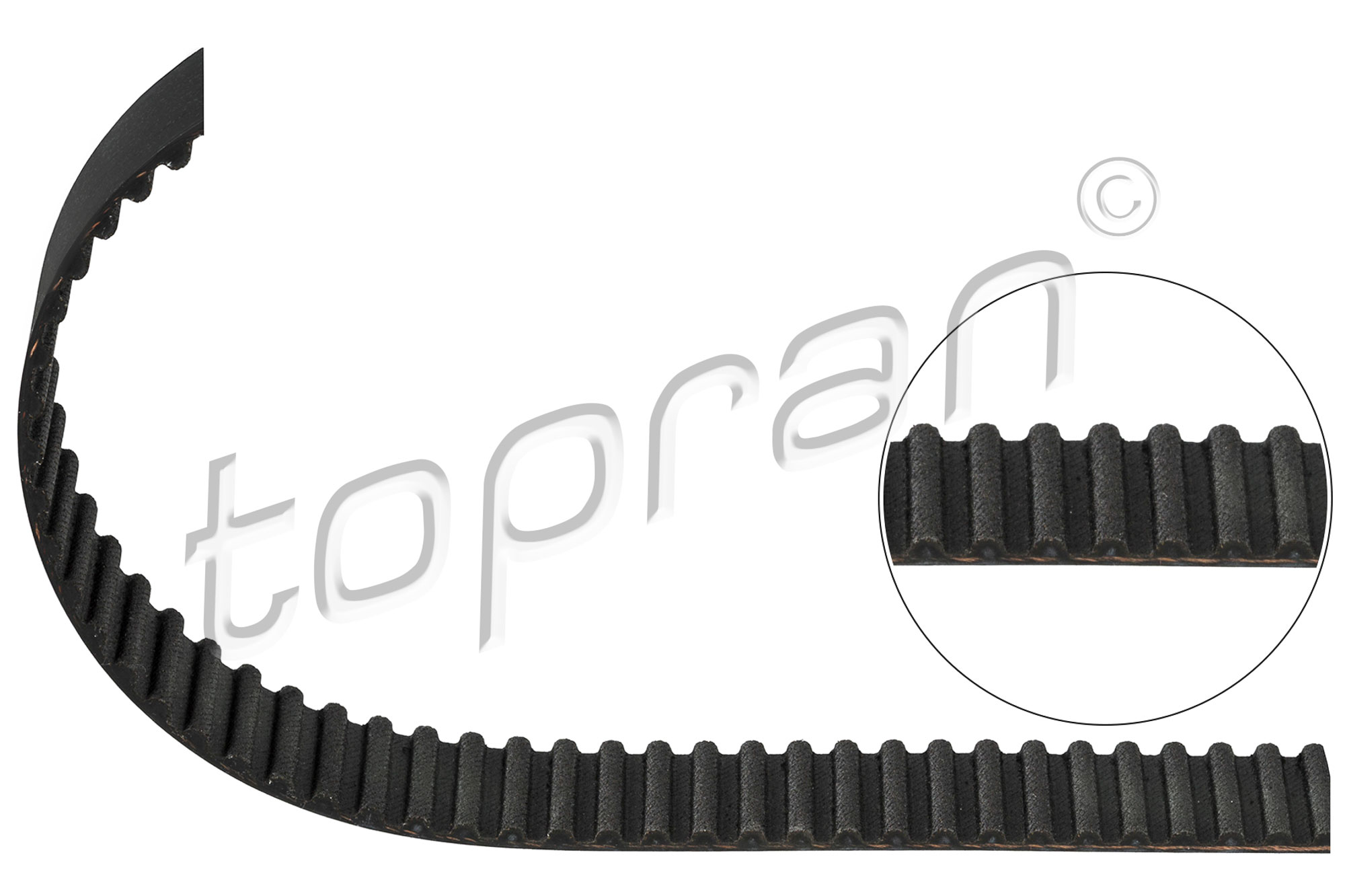 Timing Belt