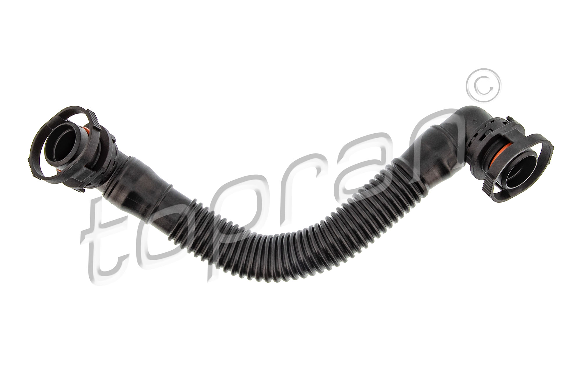 Hose, cylinder head cover ventilation