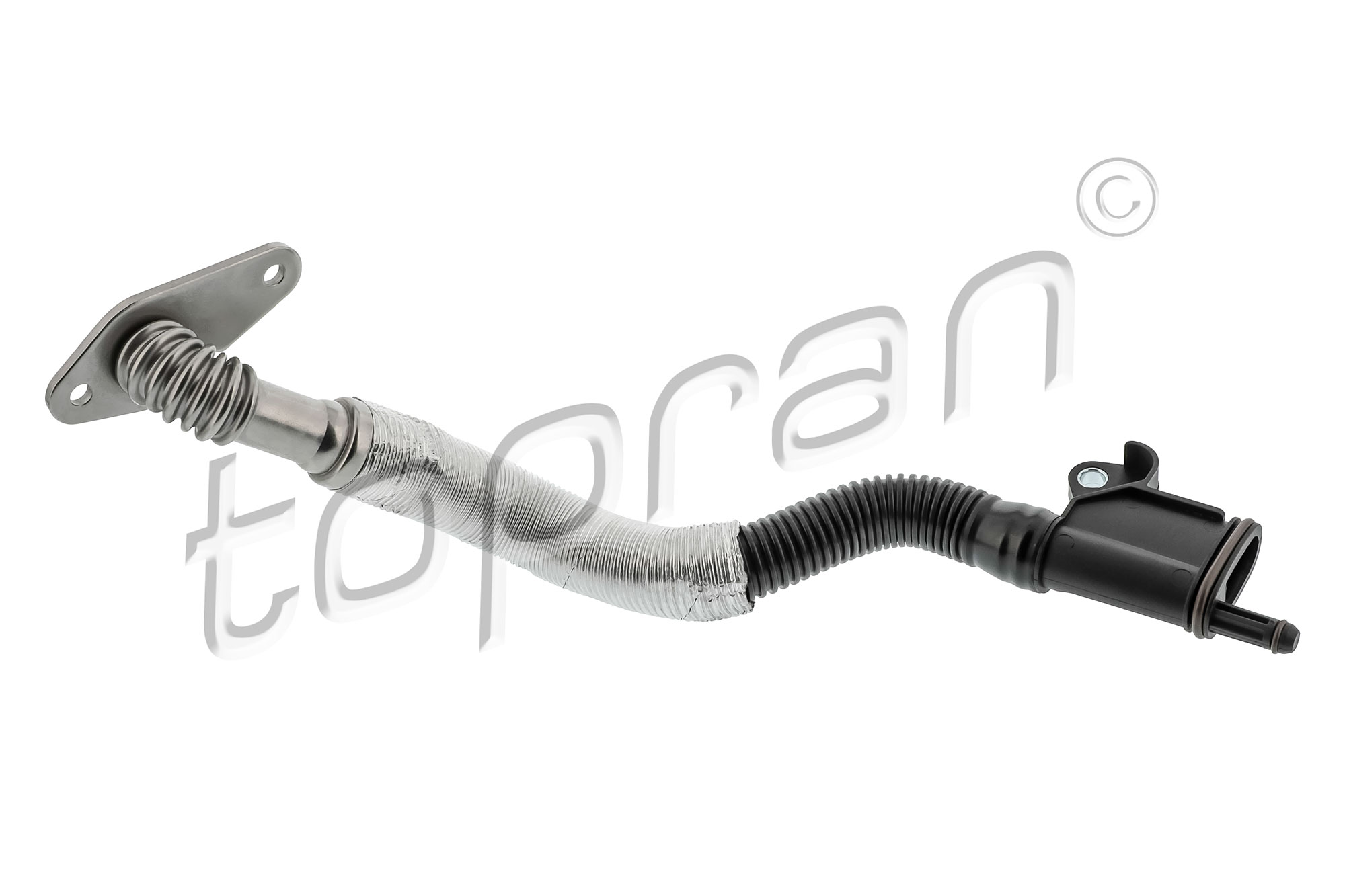 Hose, cylinder head cover ventilation