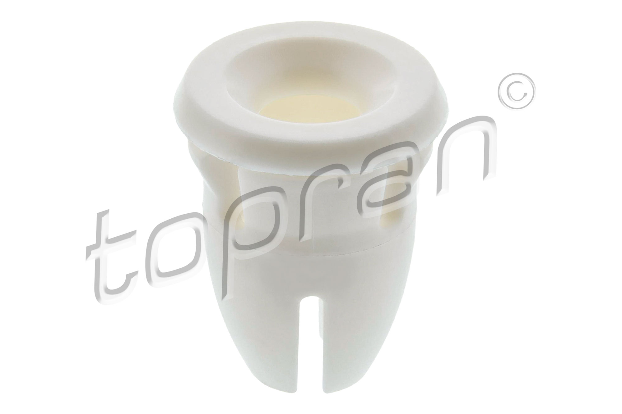 Clip, trim/protection strip