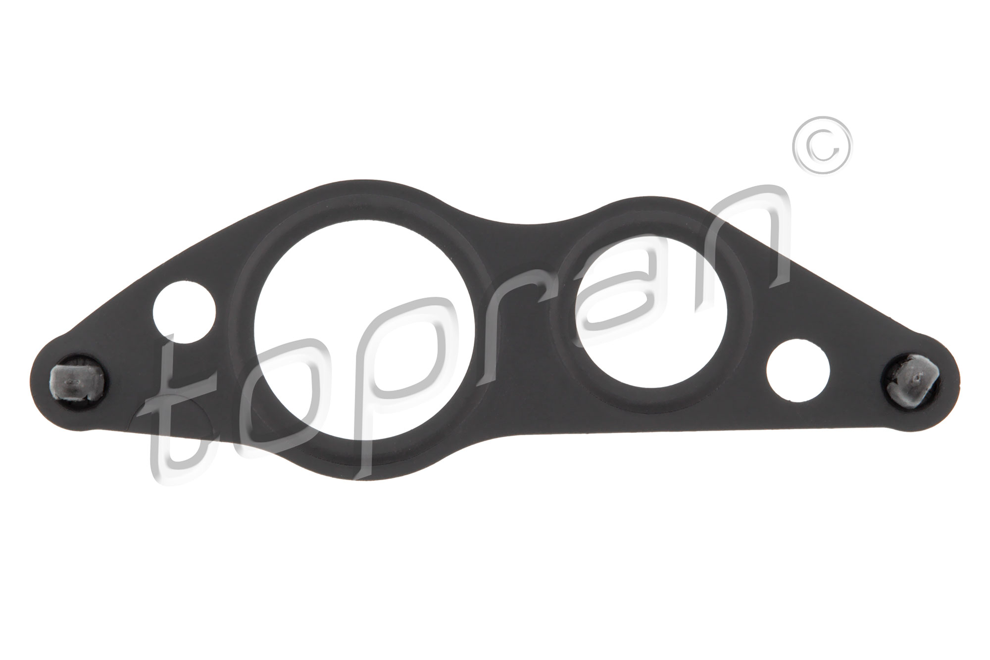 Gasket, EGR valve