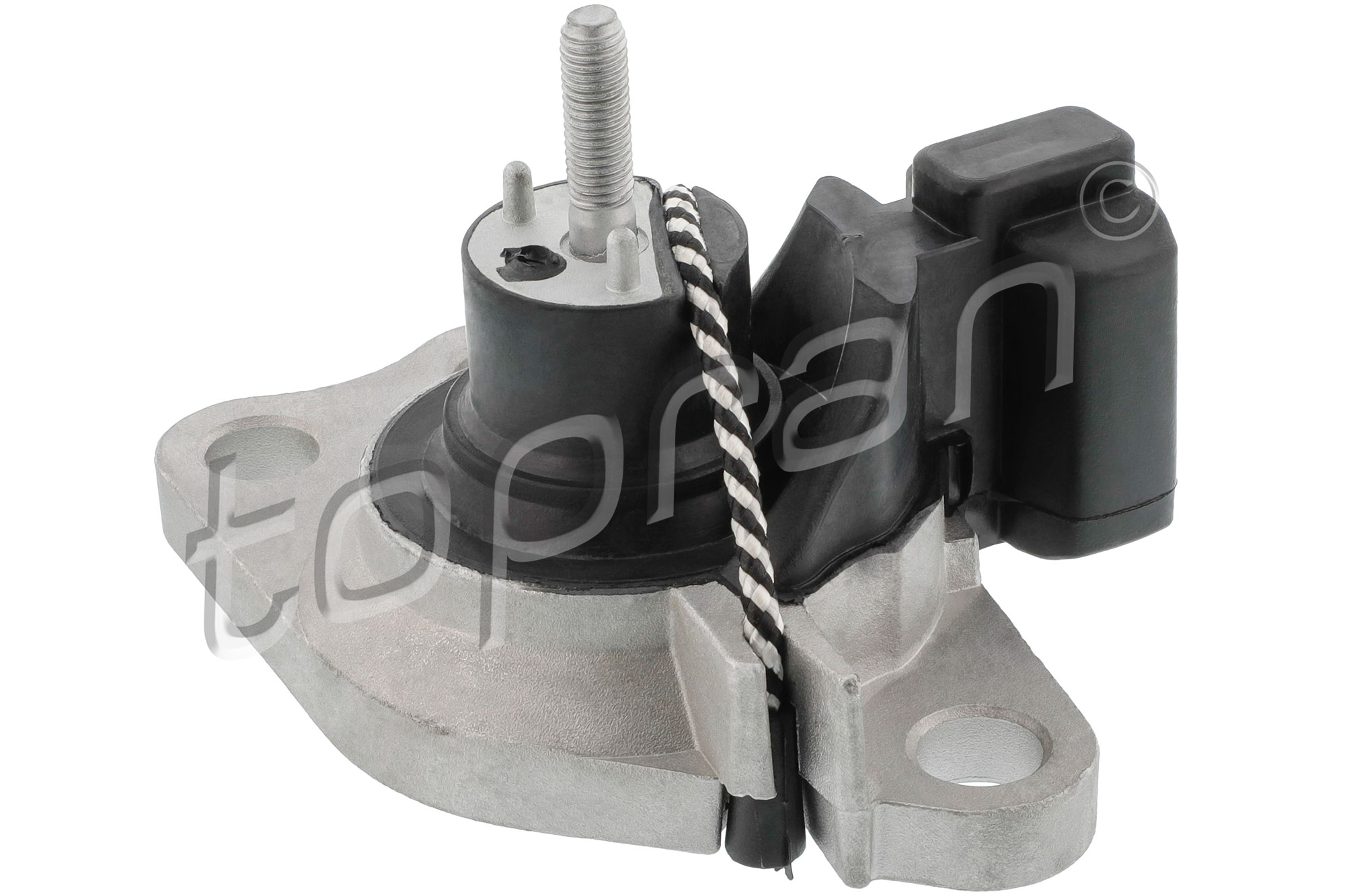 TOPRAN 700 529 Mounting, engine