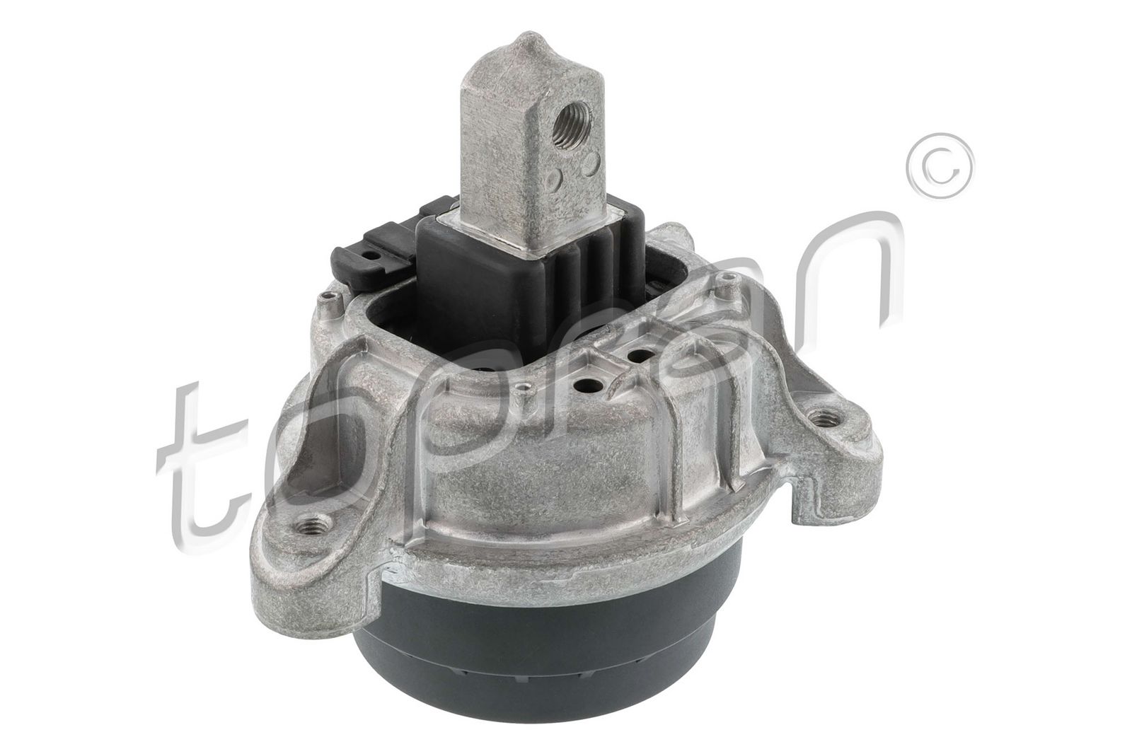 TOPRAN 503 250 Mounting, engine