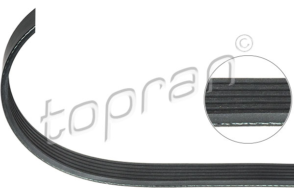 TOPRAN 503 042 Cinghia Poly-V