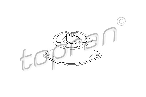 TOPRAN 113 205 Tendicinghia, Cinghia Poly-V