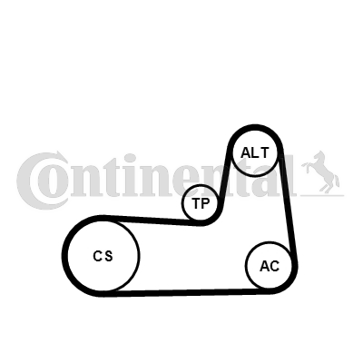 CONTINENTAL CTAM 5PK1125K1 Kit Cinghie Poly-V-Kit Cinghie Poly-V-Ricambi Euro