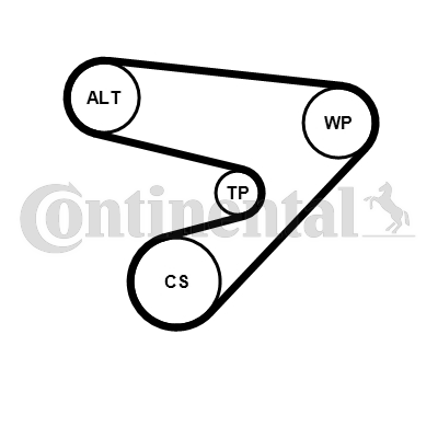 CONTINENTAL CTAM 5PK1230K1...