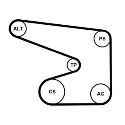 CONTINENTAL CTAM 5PK1370K1 Σετ ιμάντων poly-V for OPEL