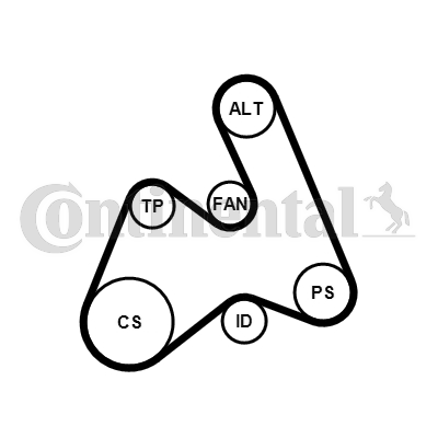 CONTINENTAL CTAM 5PK1592K1 Kit Cinghie Poly-V-Kit Cinghie Poly-V-Ricambi Euro