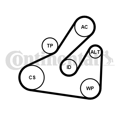 CONTINENTAL CTAM 5PK1745WP1...