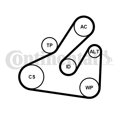 CONTINENTAL CTAM 5PK1745K1 Keilrippenriemensatz