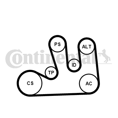 CONTINENTAL CTAM 5PK1750WP1 Pompa acqua + Kit cinghia Poly V-Pompa acqua + Kit cinghia Poly V-Ricambi Euro