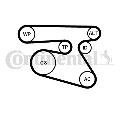 CONTINENTAL CTAM 5PK1960K1 Keilrippenriemensatz