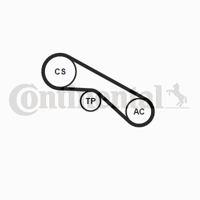 CONTINENTAL CTAM 5PK884K1 Keilrippenriemensatz