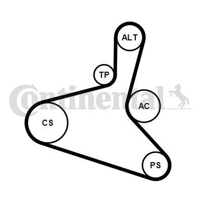 CONTINENTAL CTAM 6DPK1195K1 Kit Cinghie Poly-V