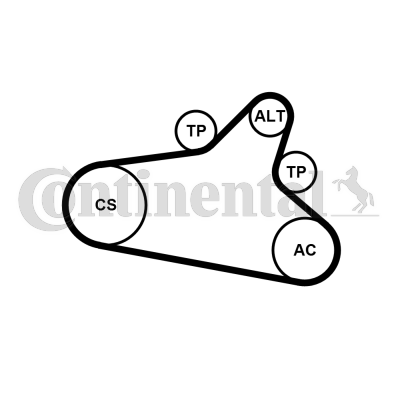 CONTINENTAL CTAM 6PK1020 EXTRA K1 hosszbordás szíj készlet CITROËN DS PEUGEOT