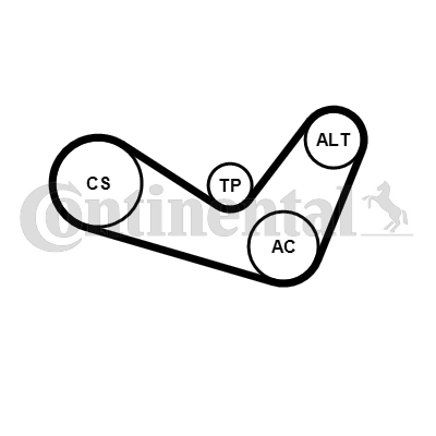 CONTINENTAL CTAM 6PK1050K2 Kit Cinghie Poly-V