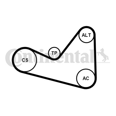 CONTINENTAL CTAM 6PK1050K3 Kit Cinghie Poly-V-Kit Cinghie Poly-V-Ricambi Euro