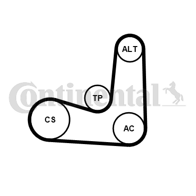 CONTINENTAL CTAM 6PK1070K5 Keilrippenriemensatz