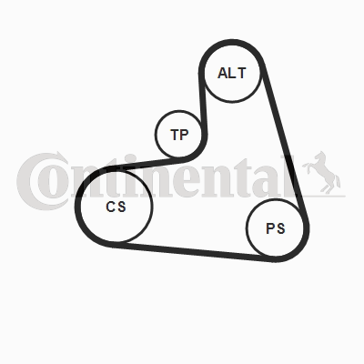CONTINENTAL CTAM 6PK1120K1 Keilrippenriemensatz