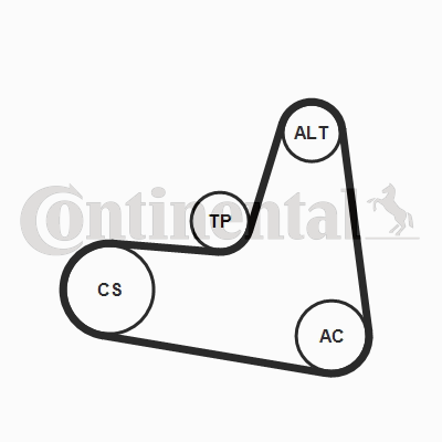 CONTINENTAL CTAM 6PK1120K2...