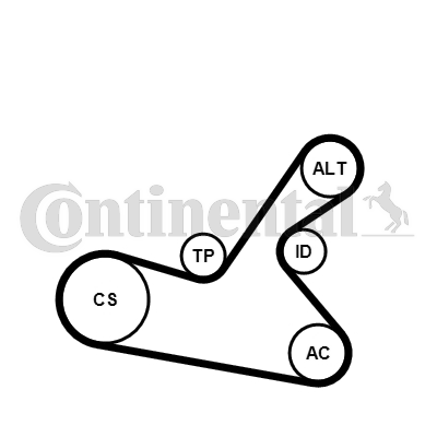 CONTINENTAL CTAM 6PK1125WP1 Pompa acqua + Kit cinghia Poly V-Pompa acqua + Kit cinghia Poly V-Ricambi Euro