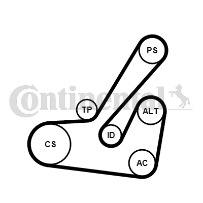 CONTINENTAL CTAM 6PK1145K2 Kit Cinghie Poly-V