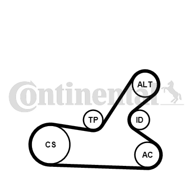 CONTINENTAL CTAM 6PK1145K4 Kit Cinghie Poly-V-Kit Cinghie Poly-V-Ricambi Euro