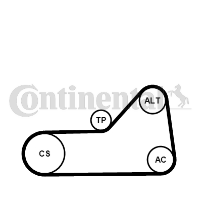 CONTINENTAL CTAM 6PK1153K1 Kit Cinghie Poly-V