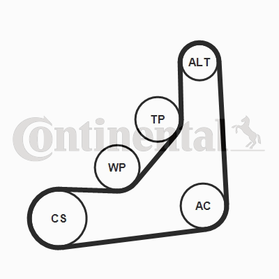 CONTINENTAL CTAM 6PK1165K1 Keilrippenriemensatz