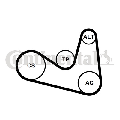 CONTINENTAL CTAM 6PK1180K2 Kit Cinghie Poly-V