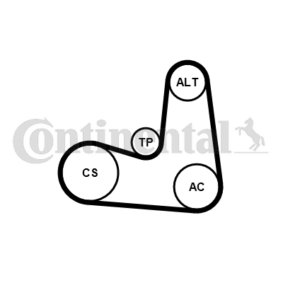 CONTINENTAL CTAM 6PK1180K5 Keilrippenriemensatz