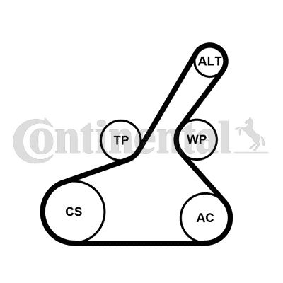 CONTINENTAL CTAM 6PK1190K1...