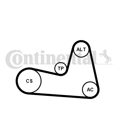 CONTINENTAL CTAM 6PK1200K2 Kit Cinghie Poly-V-Kit Cinghie Poly-V-Ricambi Euro