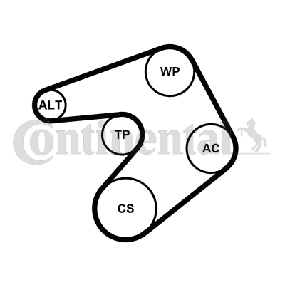 CONTINENTAL CTAM 6PK1244K1...