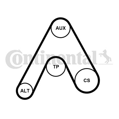 CONTINENTAL CTAM 6PK1217K3 Kit Cinghie Poly-V-Kit Cinghie Poly-V-Ricambi Euro