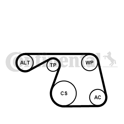 CONTINENTAL CTAM 6PK1310K1 Kit Cinghie Poly-V-Kit Cinghie Poly-V-Ricambi Euro