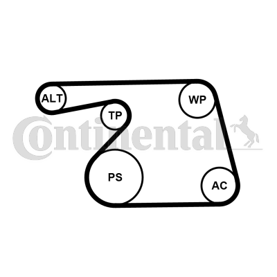 CONTINENTAL CTAM 6PK1318WP1 Pompa acqua + Kit cinghia Poly V