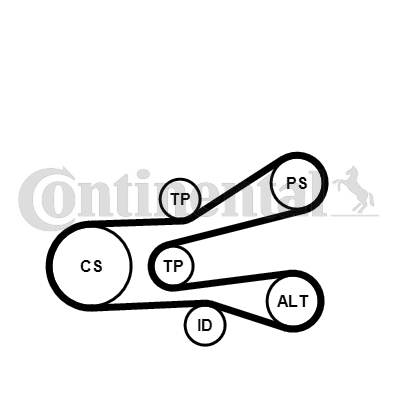 CONTINENTAL CTAM 6PK1440K1...