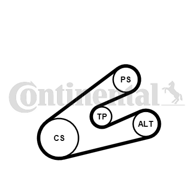 CONTINENTAL CTAM 6PK1453K1...